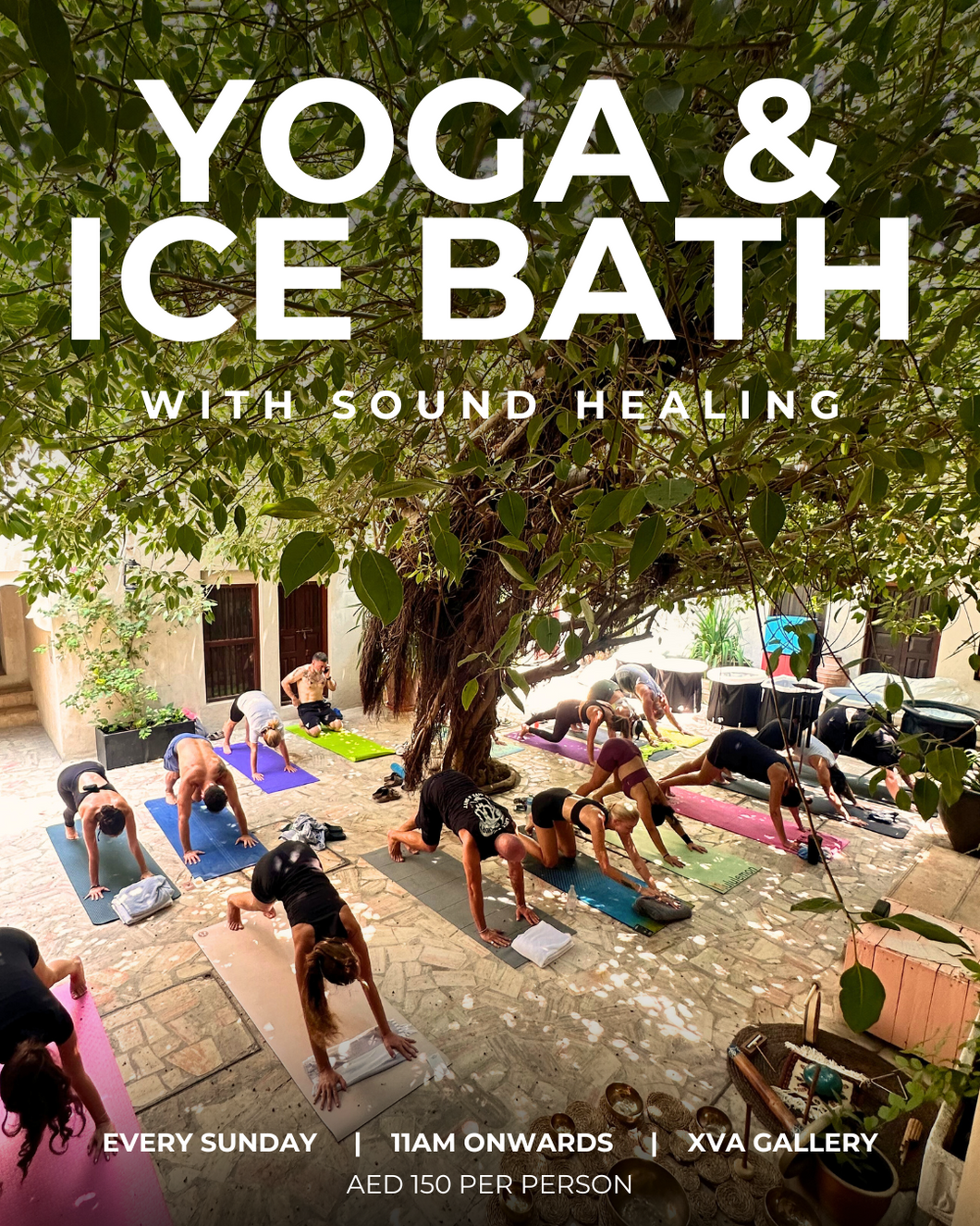 Yoga & Ice Bath with Sound Healing